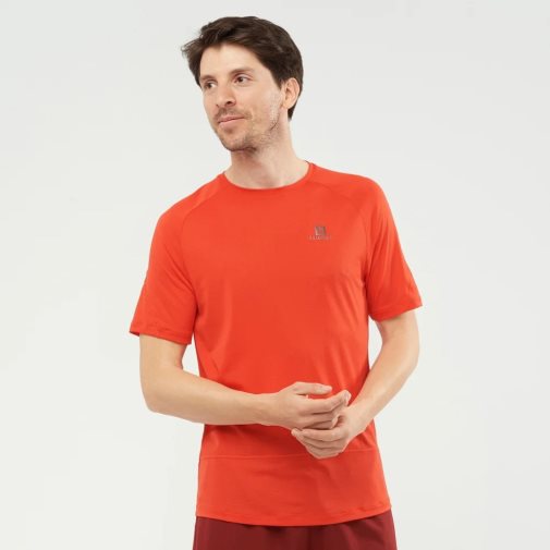 Orange Salomon Cross Run Short Sleeve Men's T-Shirts | PH 90687N